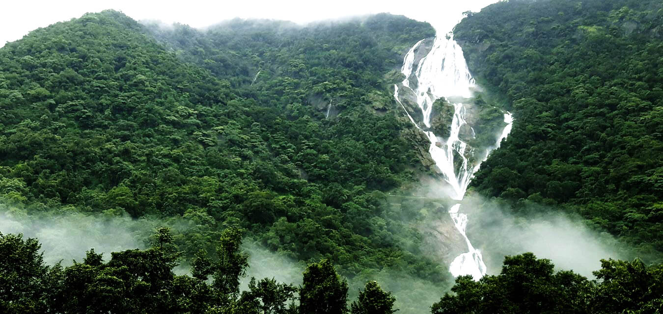 Dudhsagar Waterfall Trek