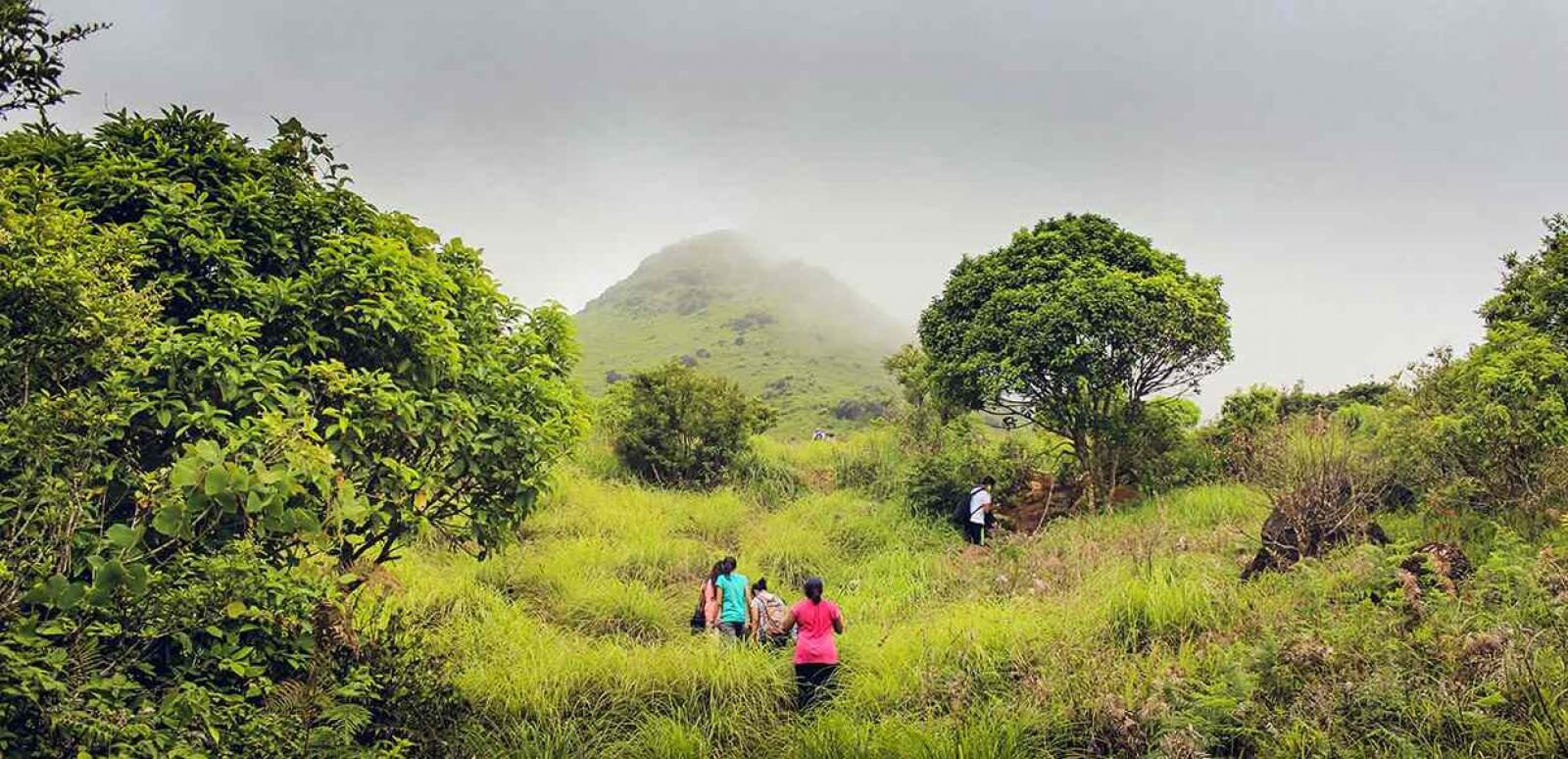 Tadiandamol trek