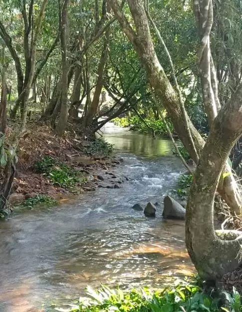 water flowing