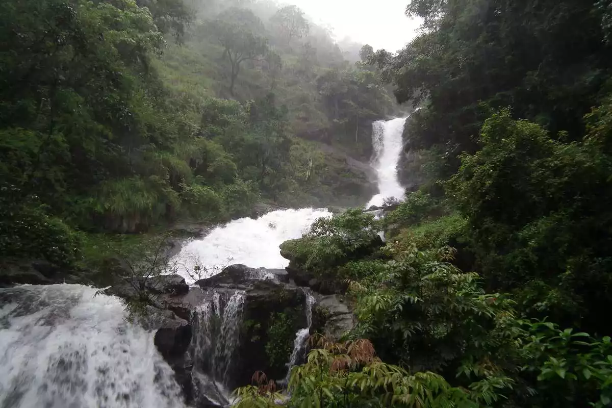  bangalore to coorg car rental