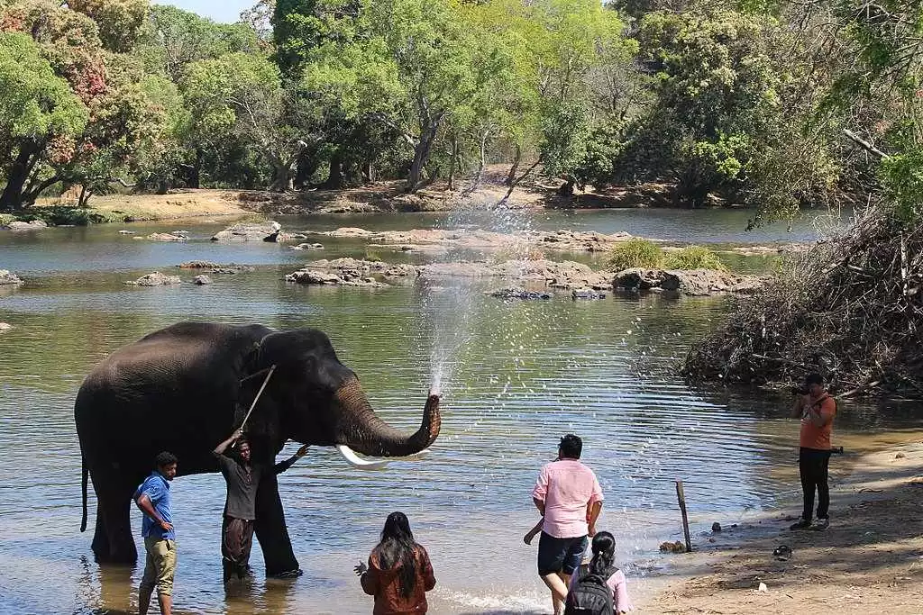  bangalore to coorg taxi services