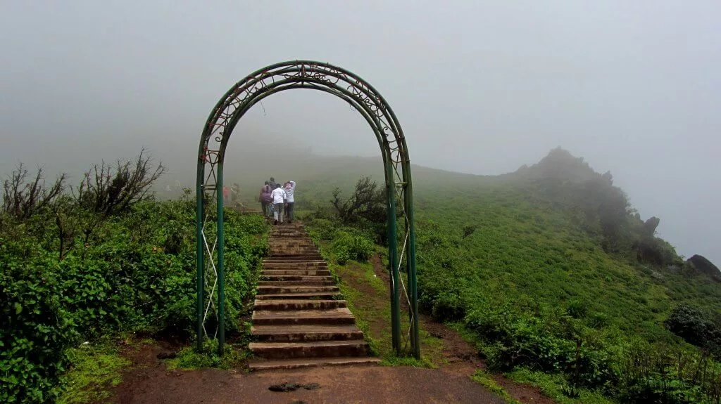  Full of Fog Chikmagalur