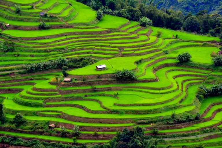  Munnar Kerala